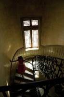 Laura TANGRE - LAURA TANGRE