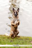 Elodie DEVAYE - CLIC N' REC