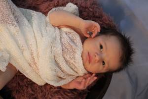 Fanny VINCENT - LE BONHEUR EN PHOTO